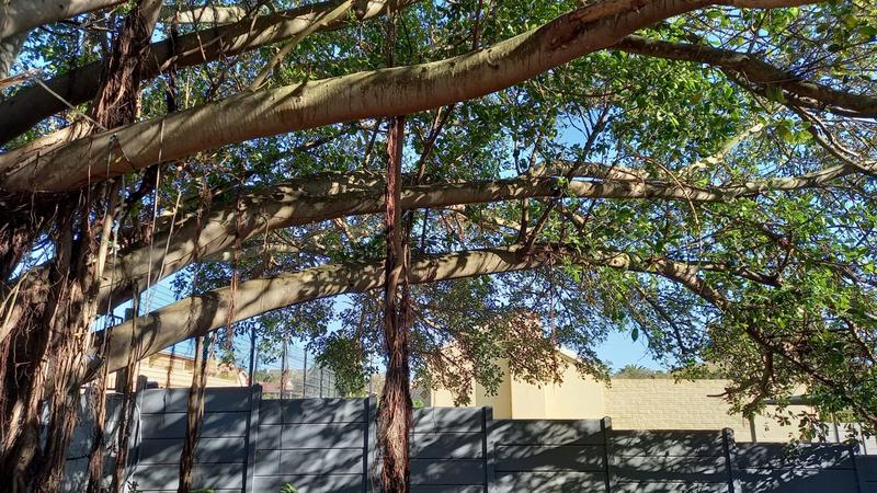 2 Bedroom Property for Sale in Albertinia Western Cape